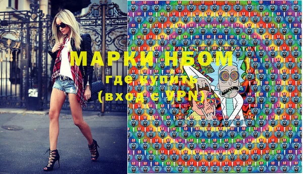 индика Армянск