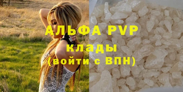 индика Армянск