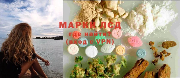 индика Армянск