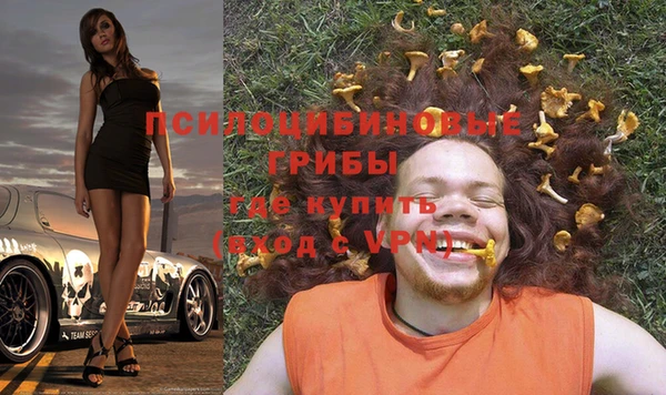 индика Армянск