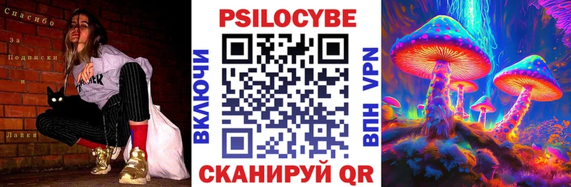 Галлюциногенные грибы Psilocybine cubensis  Рыльск 